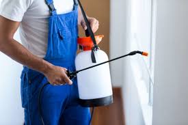 Best Fumigation Services  in Airmont, NY